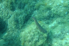 DSC08627