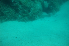 DSC08629