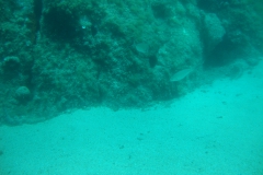 DSC08630
