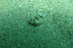 DSC08565