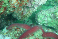 DSC09669
