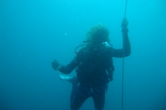 DSC00381