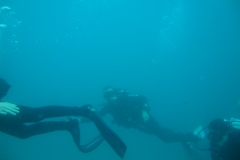 DSC00387