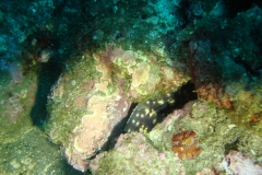 DSC00399