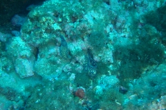 DSC00400