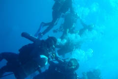 DSC00419