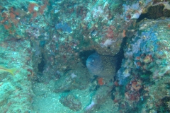 DSC00451