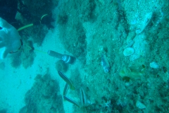 DSC00458