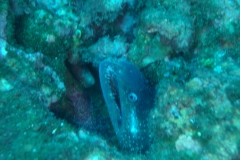 DSC00487