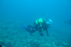 DSC08806