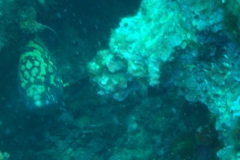 DSC08807