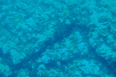 DSC08815