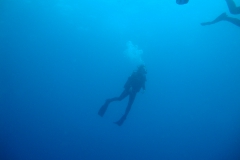 DSC08643