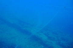 DSC08681
