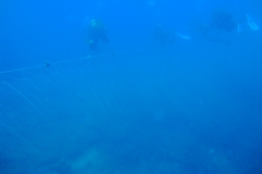 DSC08682
