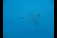 md0307201604