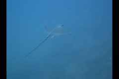 md0307201605