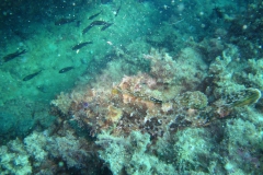 DSC09416