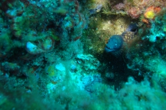 DSC08708