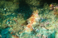DSC09953