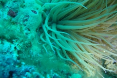 DSC09960