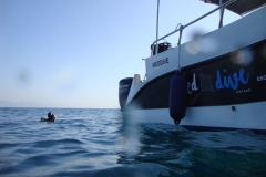 DSC09804