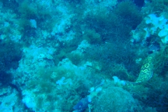 DSC08756