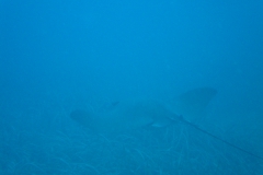 DSC08764