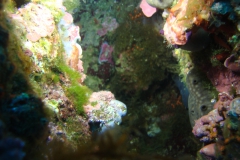DSC08765