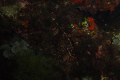 DSC08789