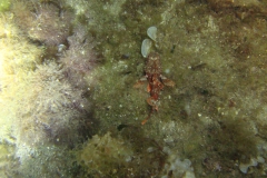 DSC08790