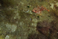 DSC08791