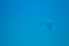 DSC08800