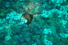 DSC08836