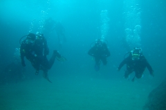 DSC09791