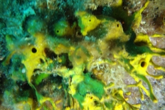 DSC00223