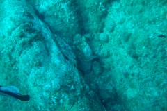 DSC00228