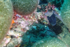 DSC00240