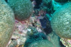 DSC00241