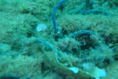 DSC00260