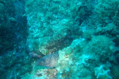 DSC00281