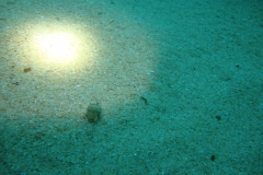 DSC00302