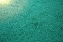 DSC00305