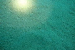 DSC00306